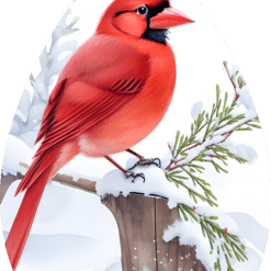 Red Cardinal Teardrop Earrings - Render