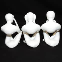 NObody - No Evil Trio - Fuzzy - Back