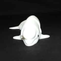 Articulated Toy Beluga Whale - Front