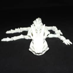 Articulated Toy Dragon Skeleton - Front