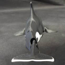 Articulated Toy Orca - Back