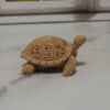 Carved Wood-Style Turtle Sculpture - Right