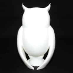Mesmerizing Arcane Owl Sculpture - Back