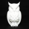 Mesmerizing Arcane Owl Sculpture - Front