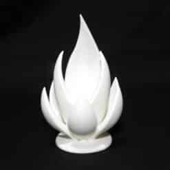 Blooming Ember - A Petal-Fire Fusion - Front