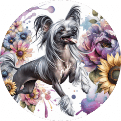 Chinese Crested in Flowers Round Earrings - Render