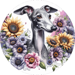 Italian Greyhound in Flowers Round Earrings - Render