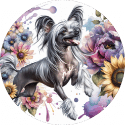 Chinese Crested in Flowers Ceramic Coaster - Render