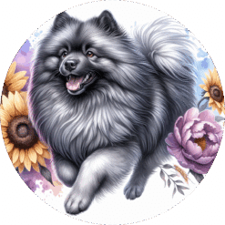 Keeshond in Flowers Ceramic Coaster - Render