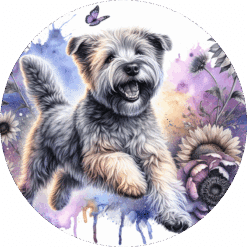Soft Coated Wheaten Terrier in Flowers Ceramic Coaster - Render